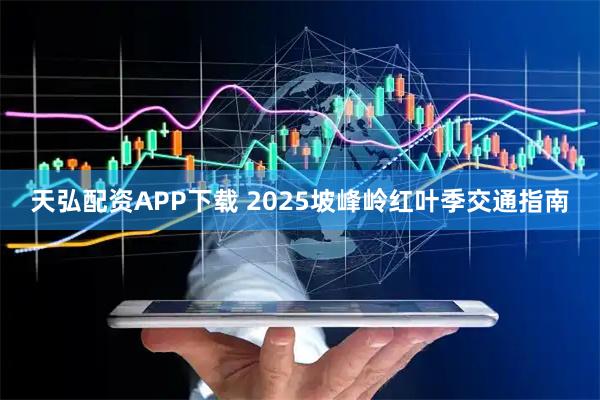 天弘配资APP下载 2025坡峰岭红叶季交通指南