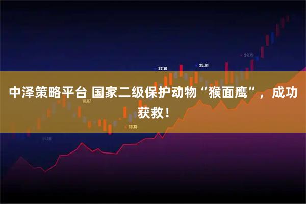 中泽策略平台 国家二级保护动物“猴面鹰”，成功获救！