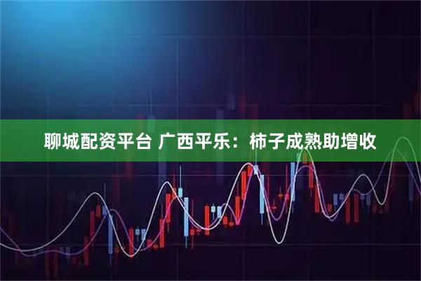 聊城配资平台 广西平乐：柿子成熟助增收