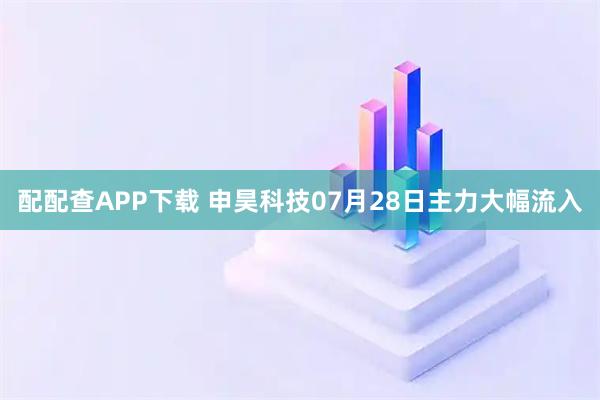 配配查APP下载 申昊科技07月28日主力大幅流入