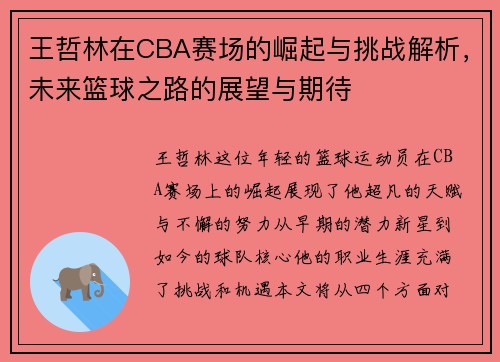 王哲林在CBA赛场的崛起与挑战解析，未来篮球之路的展望与期待